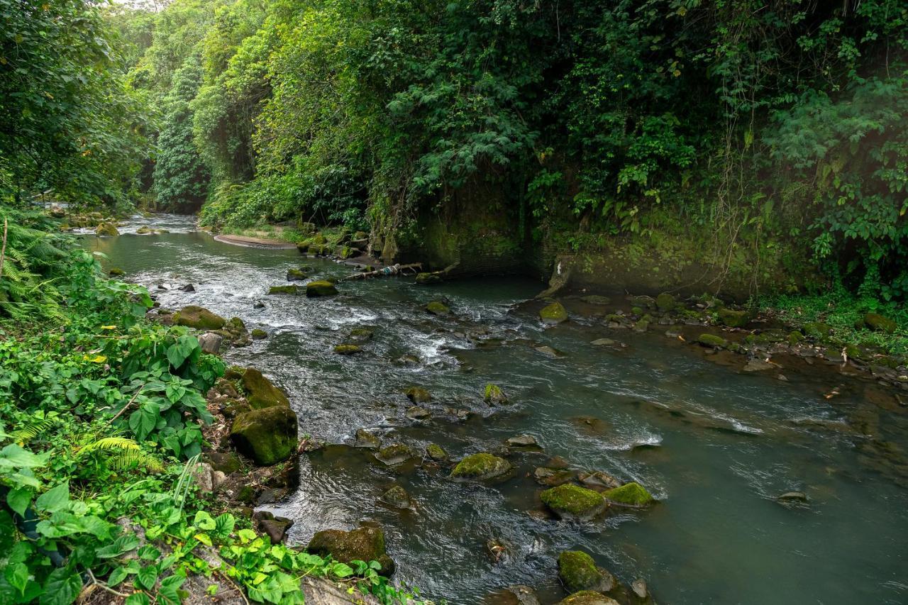 The Pyramid Ubud River Villas Gianyar  Bagian luar foto