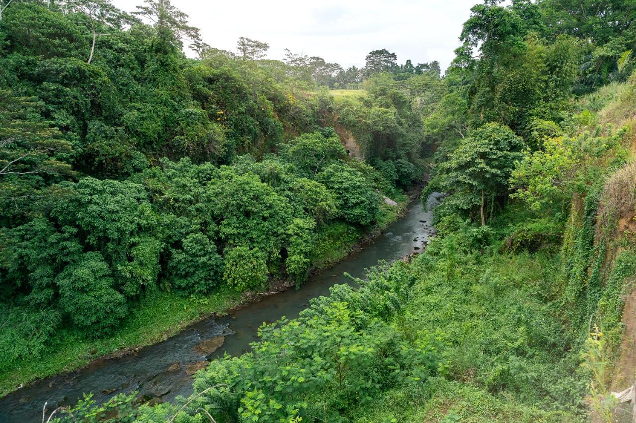 The Pyramid Ubud River Villas Gianyar  Bagian luar foto