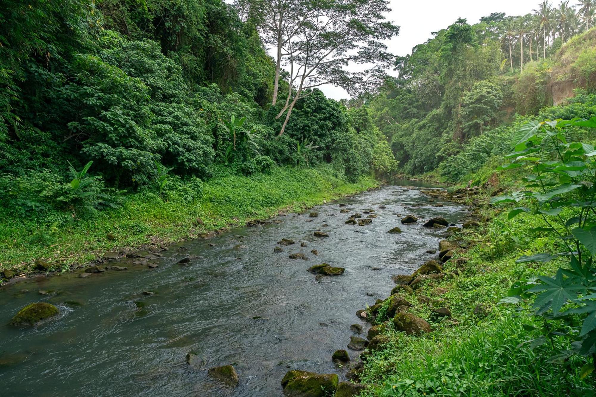 The Pyramid Ubud River Villas Gianyar  Bagian luar foto